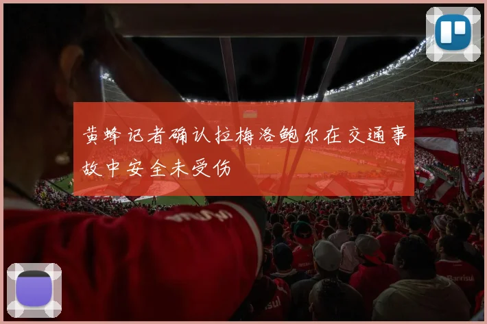 黄蜂记者确认拉梅洛鲍尔在交通事故中安全未受伤